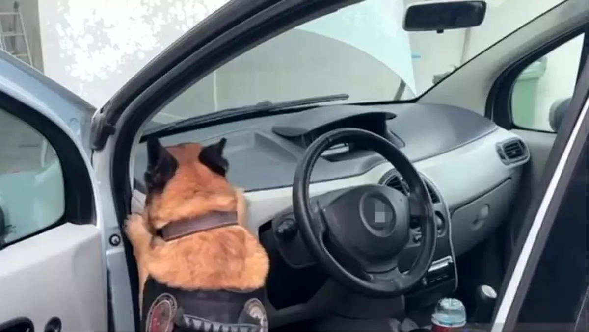 kocaelide uyusturucu operasyonu pHtxNWft.jpg