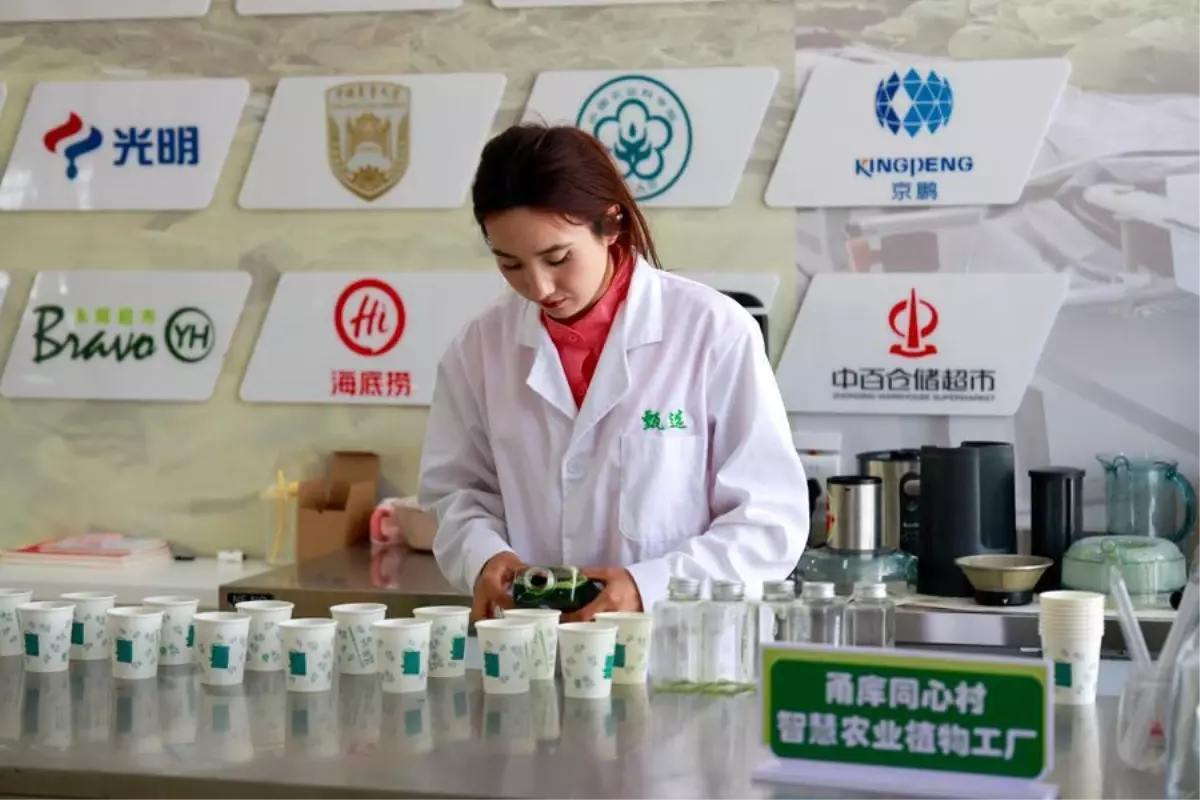 xinjianga yatirimlar artiyor XbXa9KIU.jpg