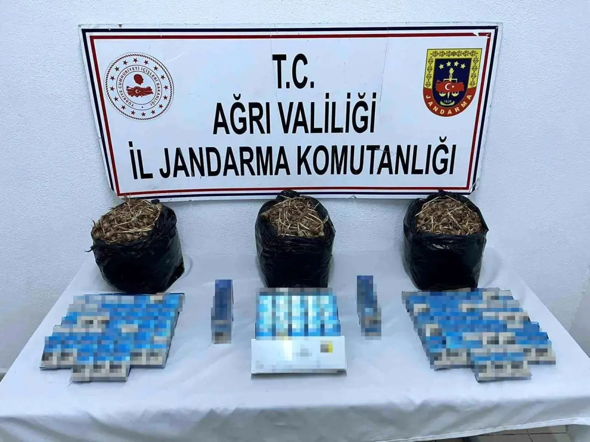 Ağrı’da Kaçak Sigara ve Safran Tohumu Ele Geçirildi