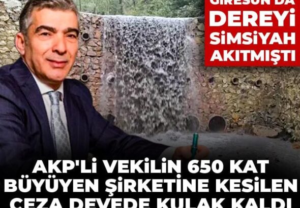akpli-vekilin-650-kat-buyuyen-sirketine-kesilen-ceza-devede-kulak-kaldi-giresunda-dereyi-simsiyah-792lagq7