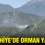 Fethiye’de Orman Yangını Çıktı, Ekipler Mücadele Ediyor