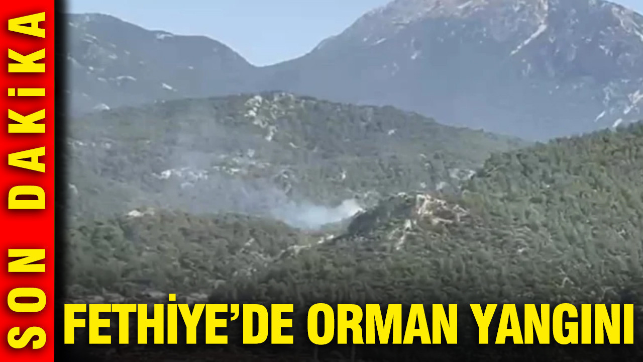 Fethiye’de Orman Yangını Çıktı, Ekipler Mücadele Ediyor